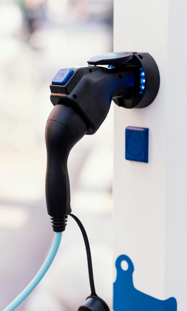 Top Honor Award Winner